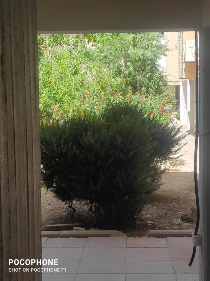סוויטה של אלון Arad Exterior foto